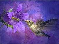 upload_2016-8-20_23-57-47.jpeg