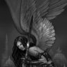 eupatrida