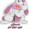 FRIs123