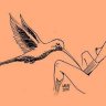 Colibrí Etéreo