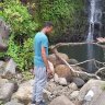 Don Yago