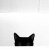 darkmortem