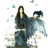 BlackWings