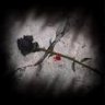 dark_isshi