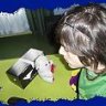 harrycidioxs