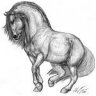 jorge01