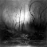 dark_angel_black