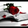 Ana_poetisada