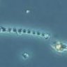quiubix
