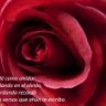 Nomesjo21