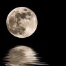 +moonlight+