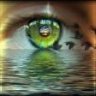 dreamingyoureyes