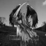 el_arcangeloscuro