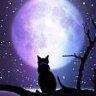 Dark Witch
