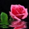 gisell_v