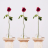 nicolas.otharan