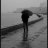 Evaristo