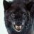 DEIMOS