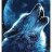 Lobo Solitario