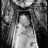 amadeus bathory
