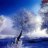Winterfairy