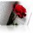 ALHAIA