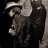 Jack_Daniel