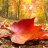 lluvia de otoño
