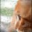 Johann_neko
