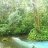 Rio claro