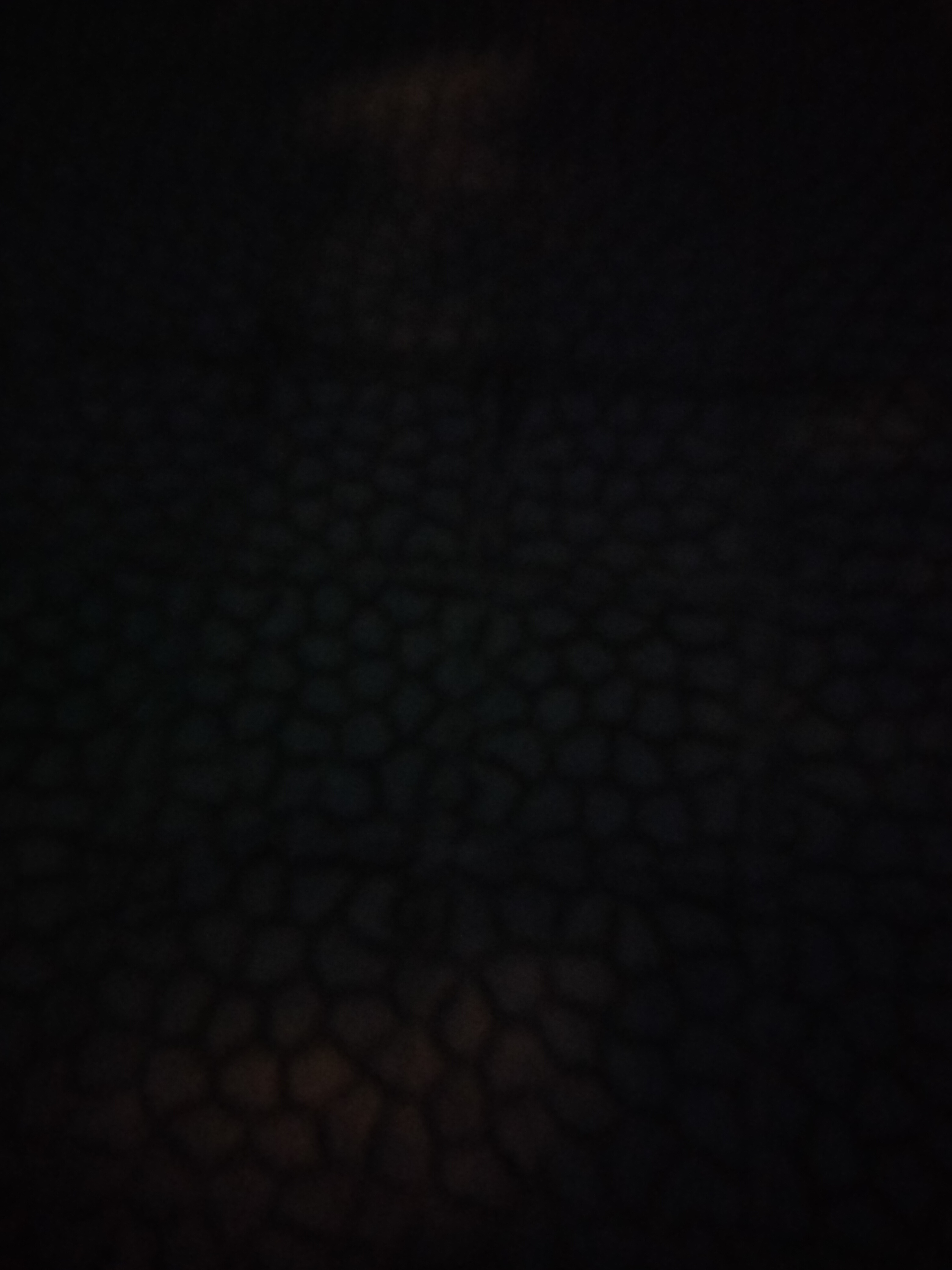 16952355536037191797044606327843.jpg