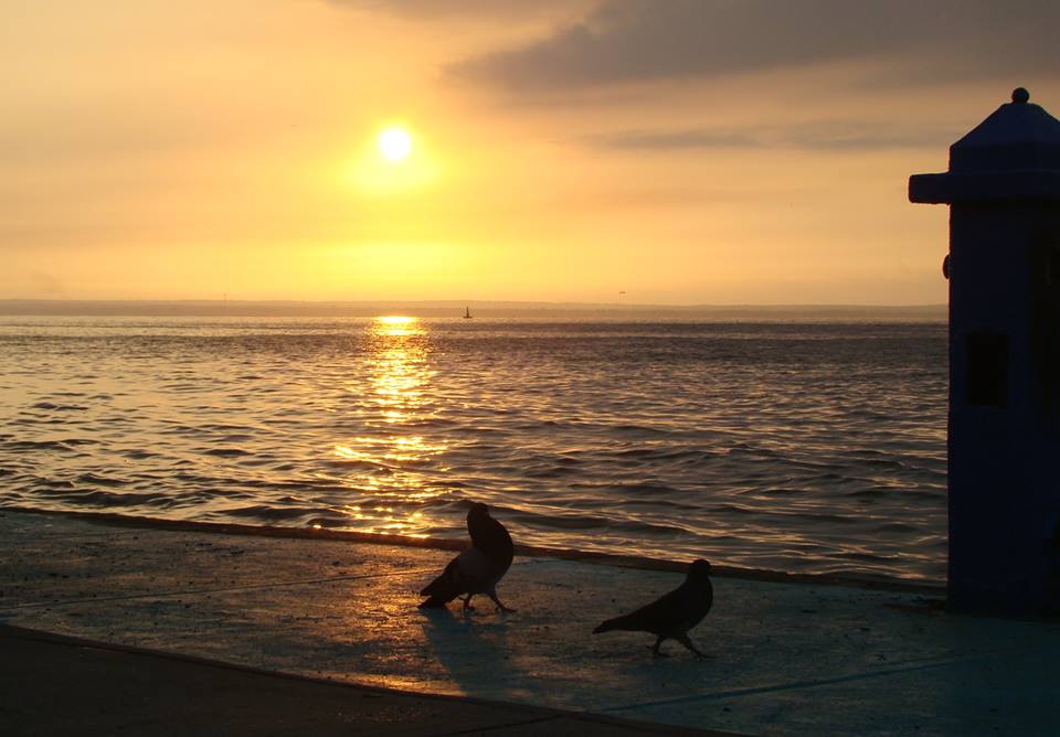 amanecer marabino3.jpg