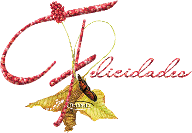 bayas20felicidades.gif