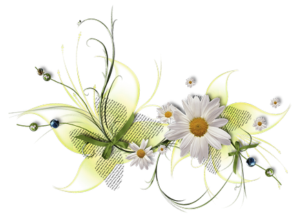 blanca10.png