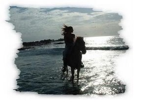 caballo.jpg