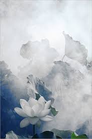 Flor blanca.jpg