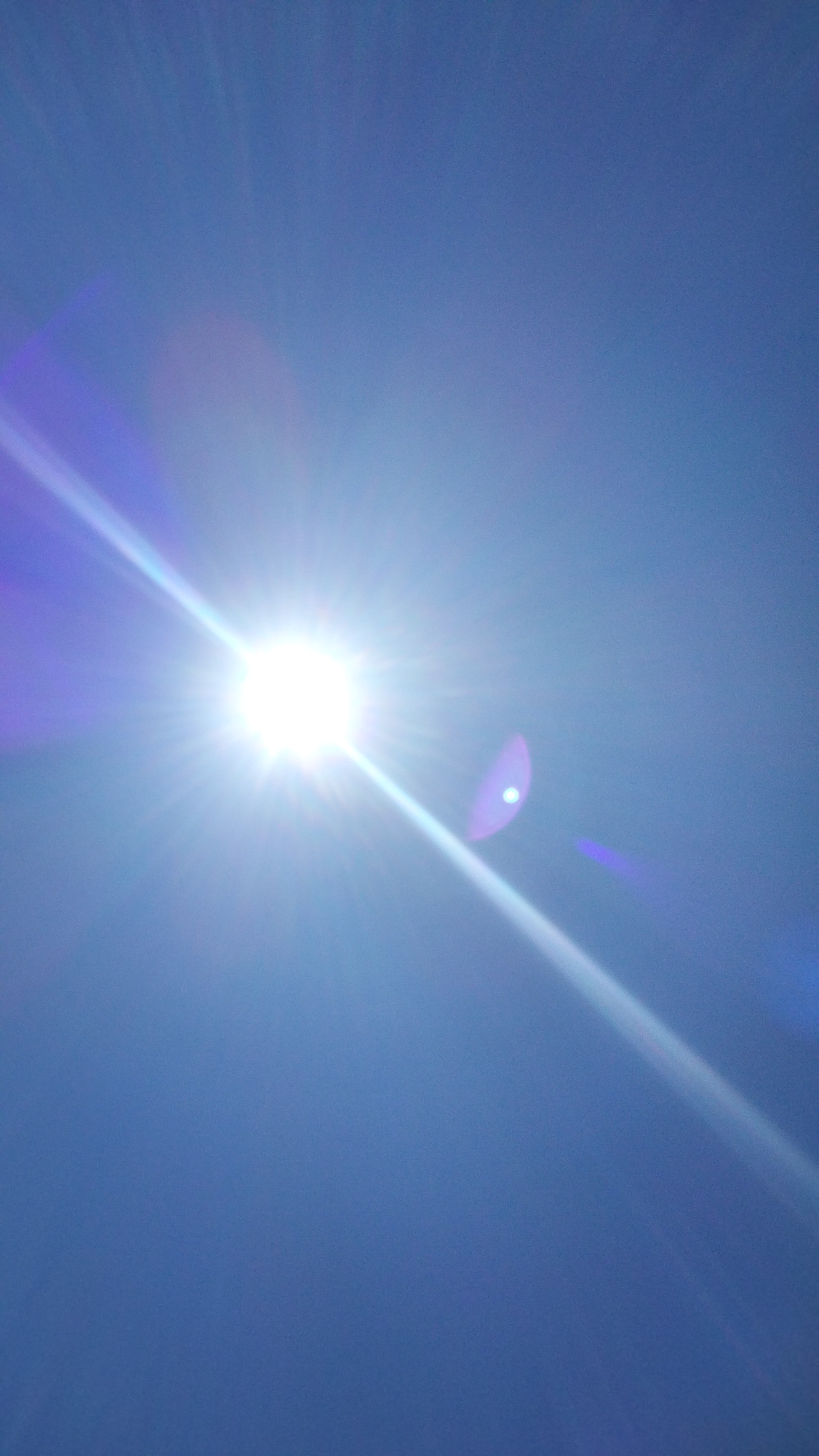 IMG-20230811-WA0006.jpeg