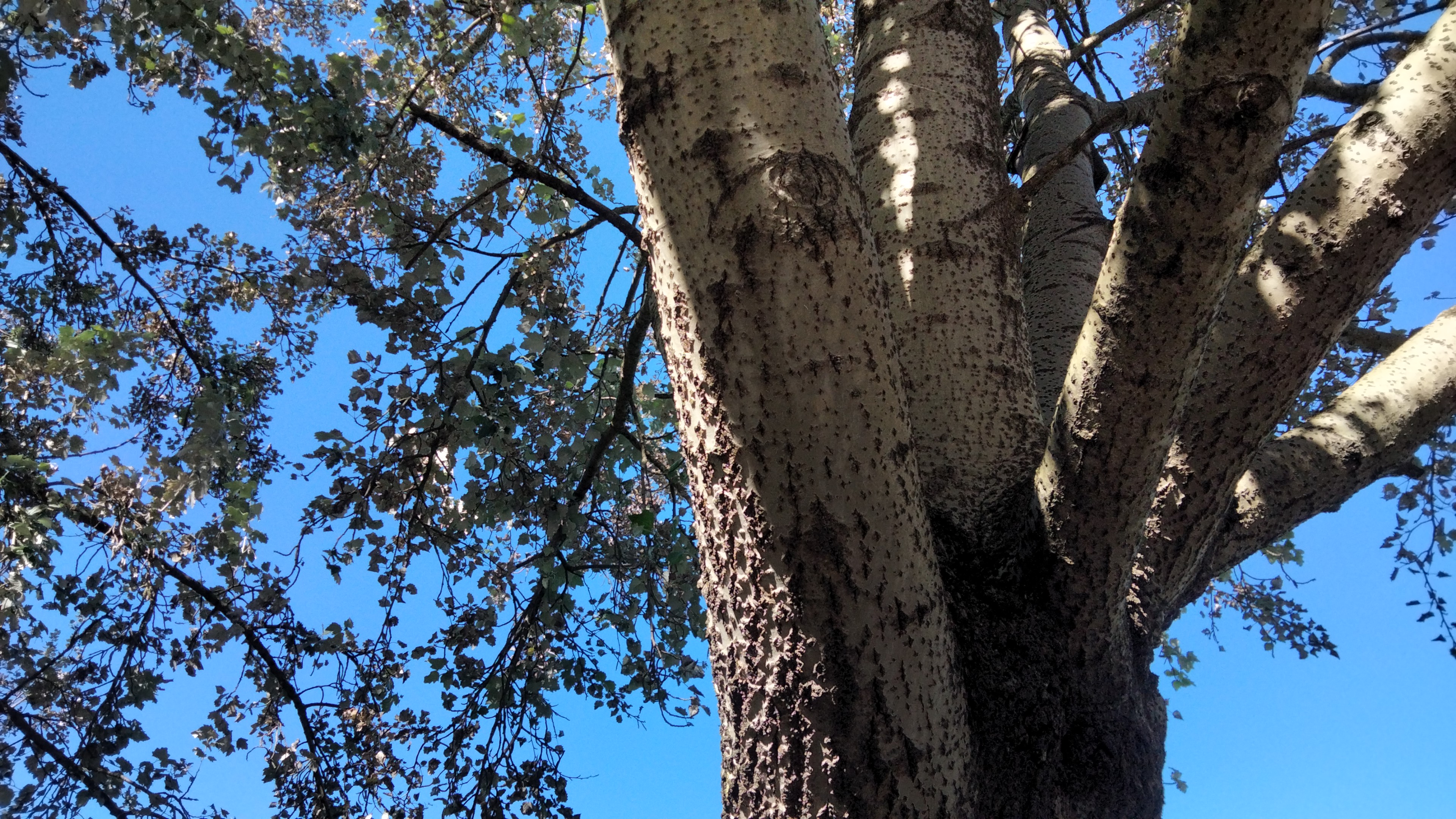IMG-20230925-WA0000.jpeg