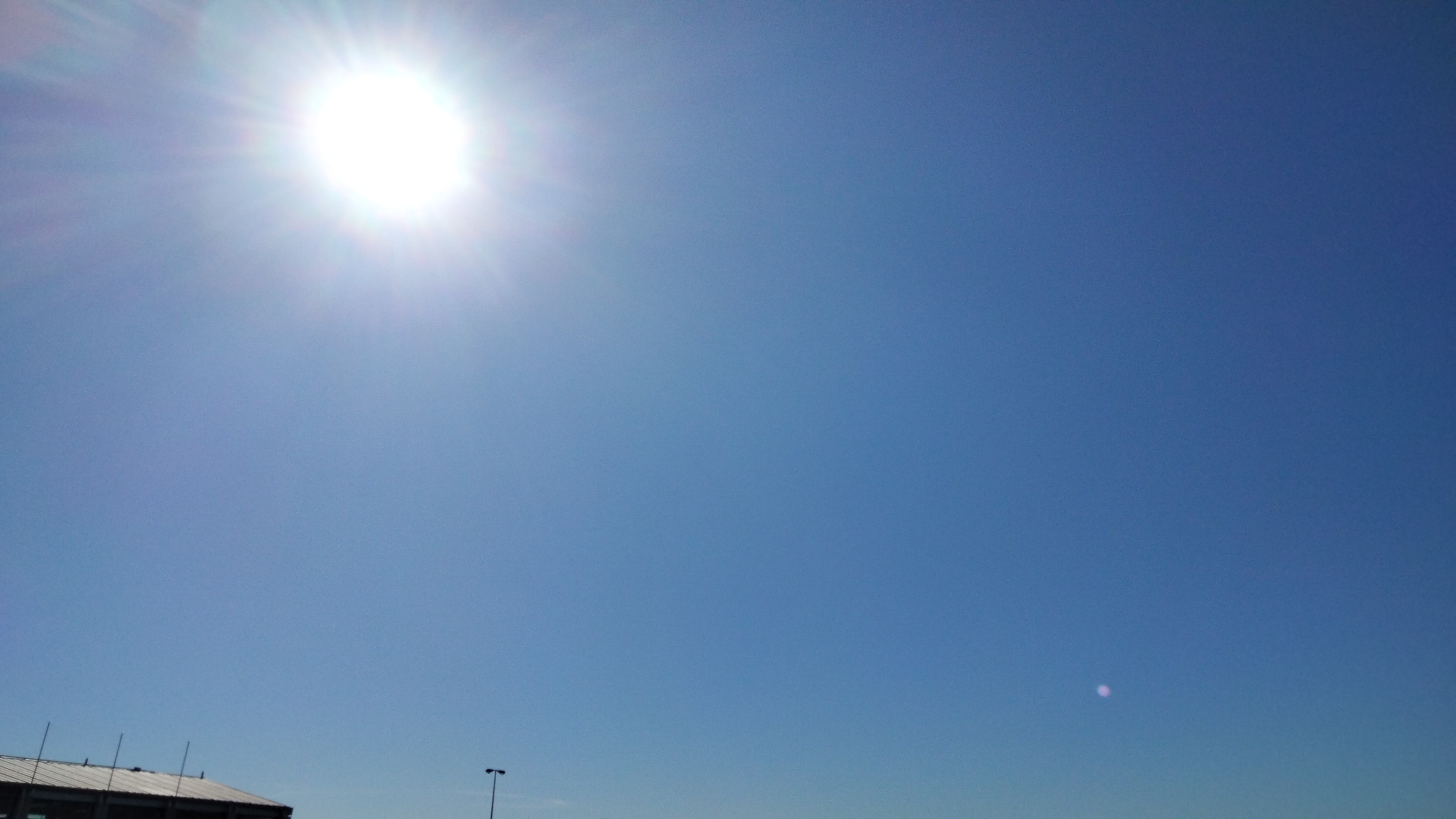 IMG-20240313-WA0000.jpeg