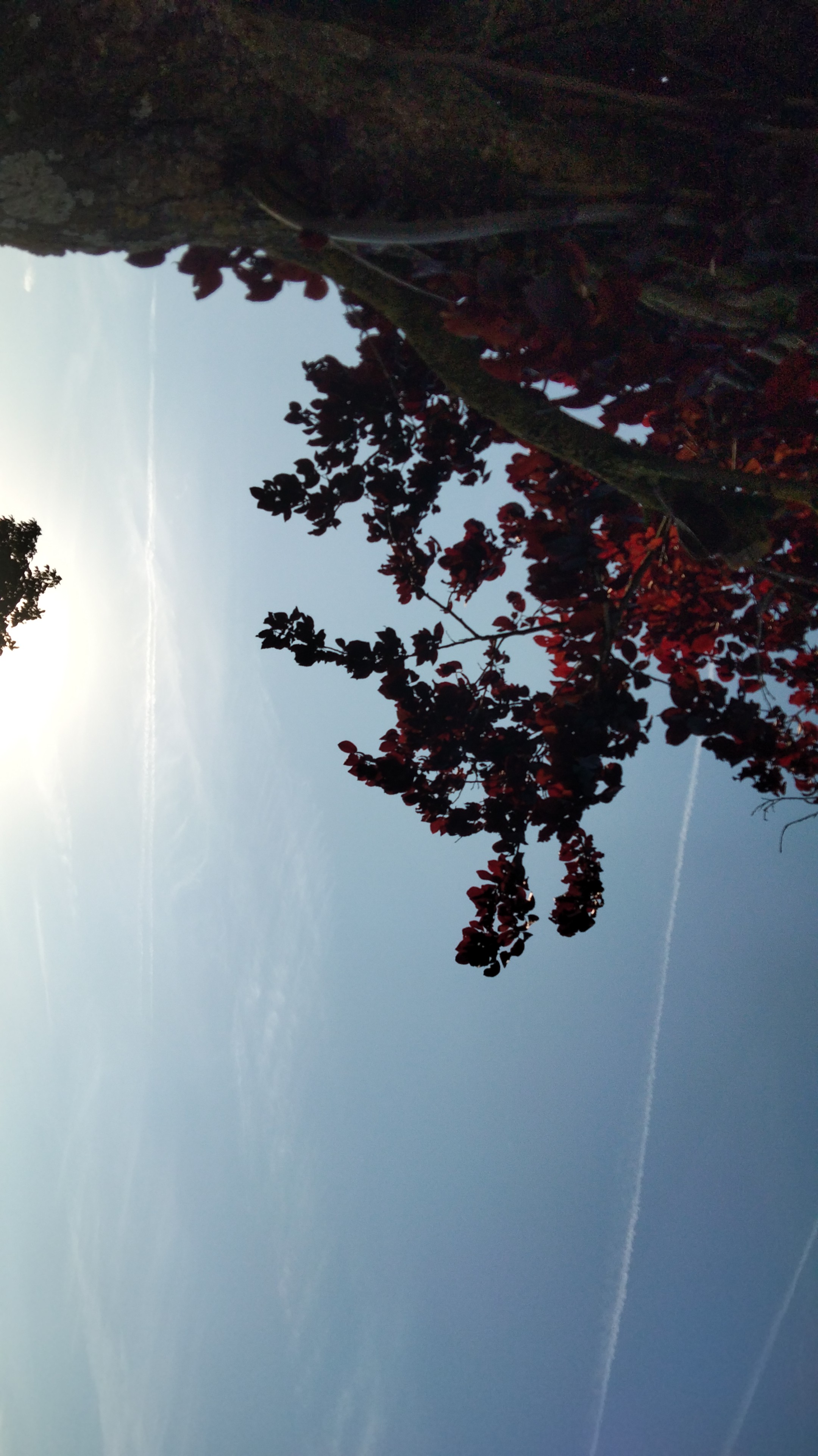 IMG-20240707-WA0001.jpeg
