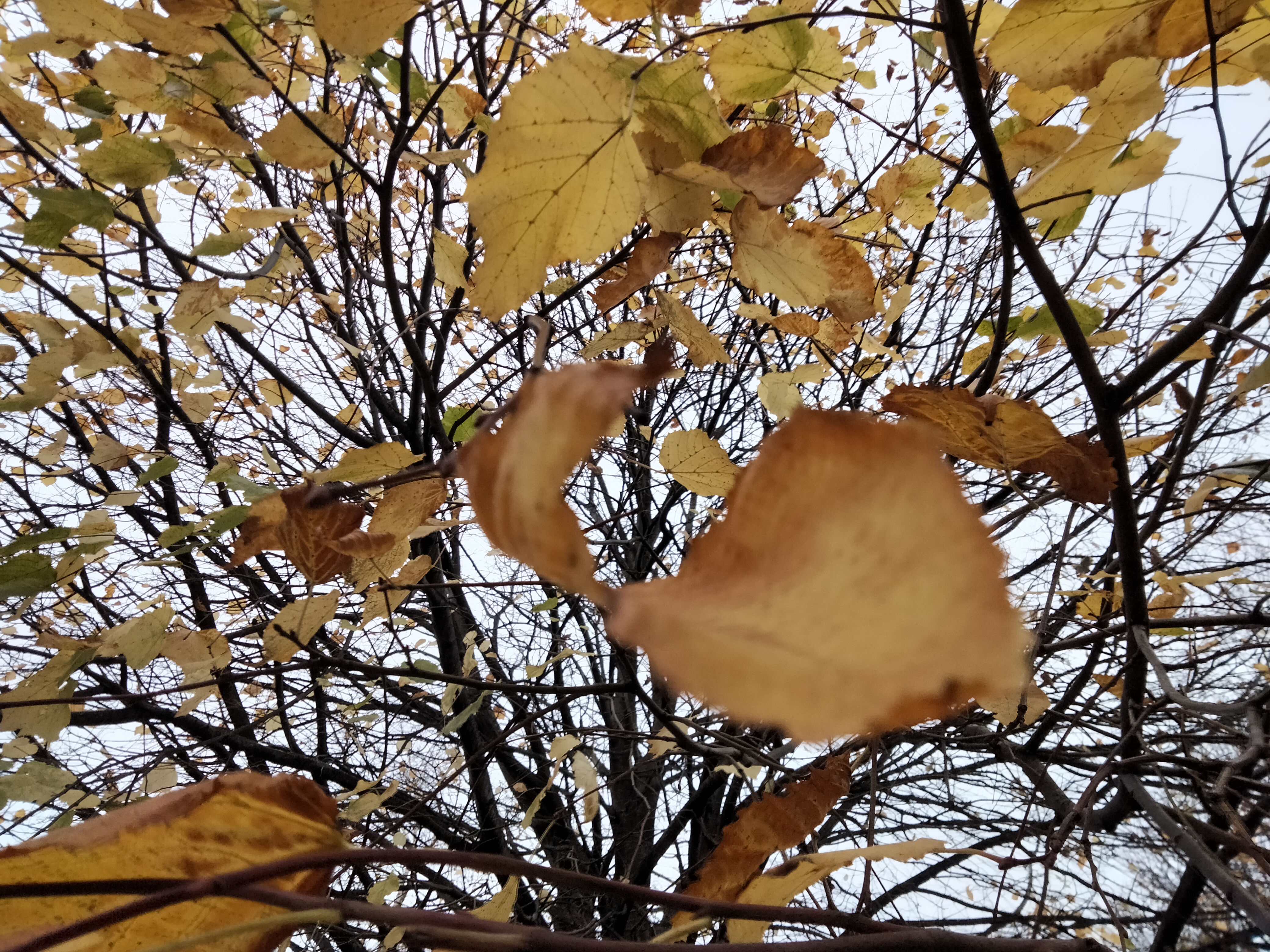 IMG20211123153854.jpg