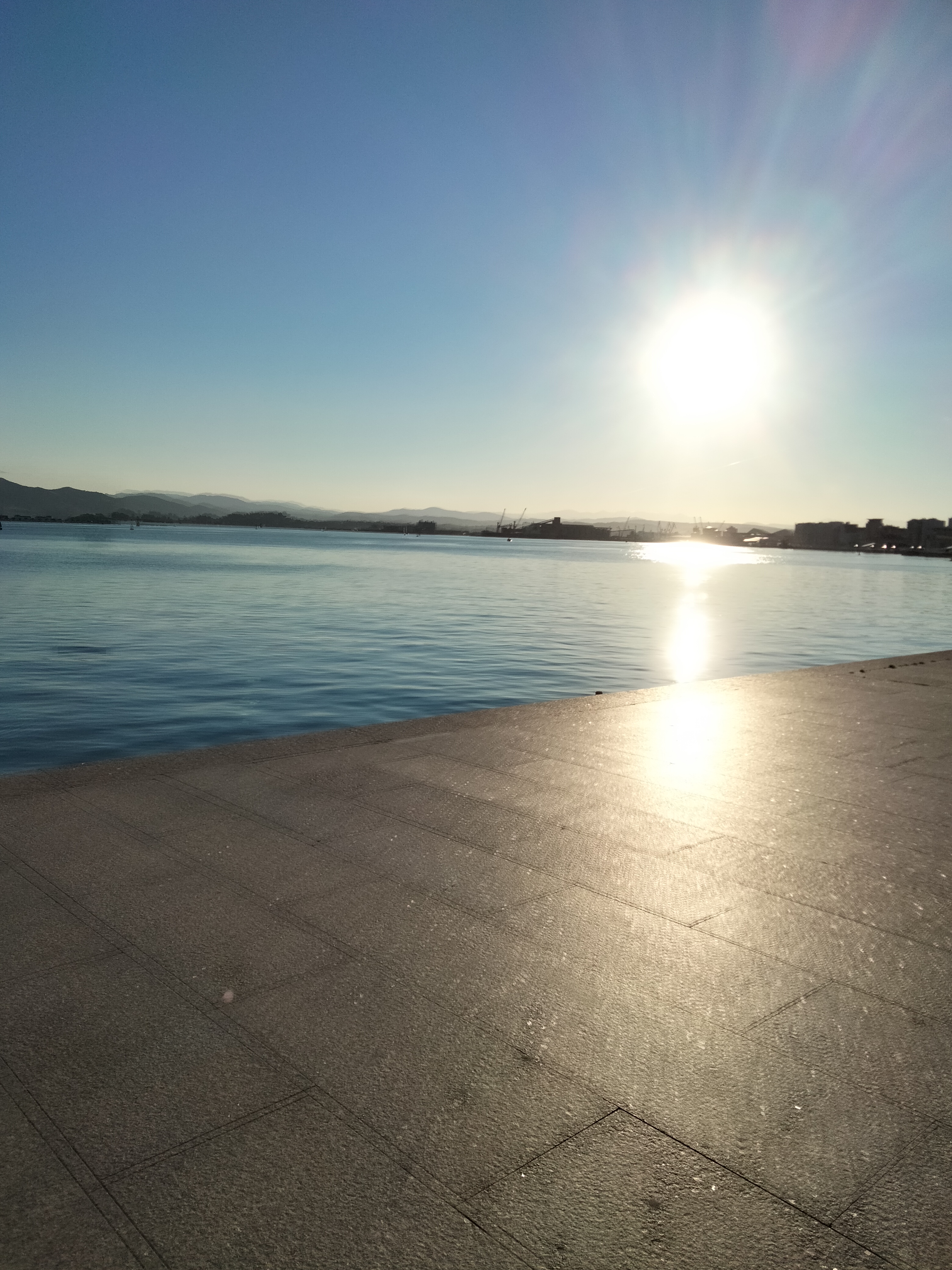IMG20220115165325.jpg