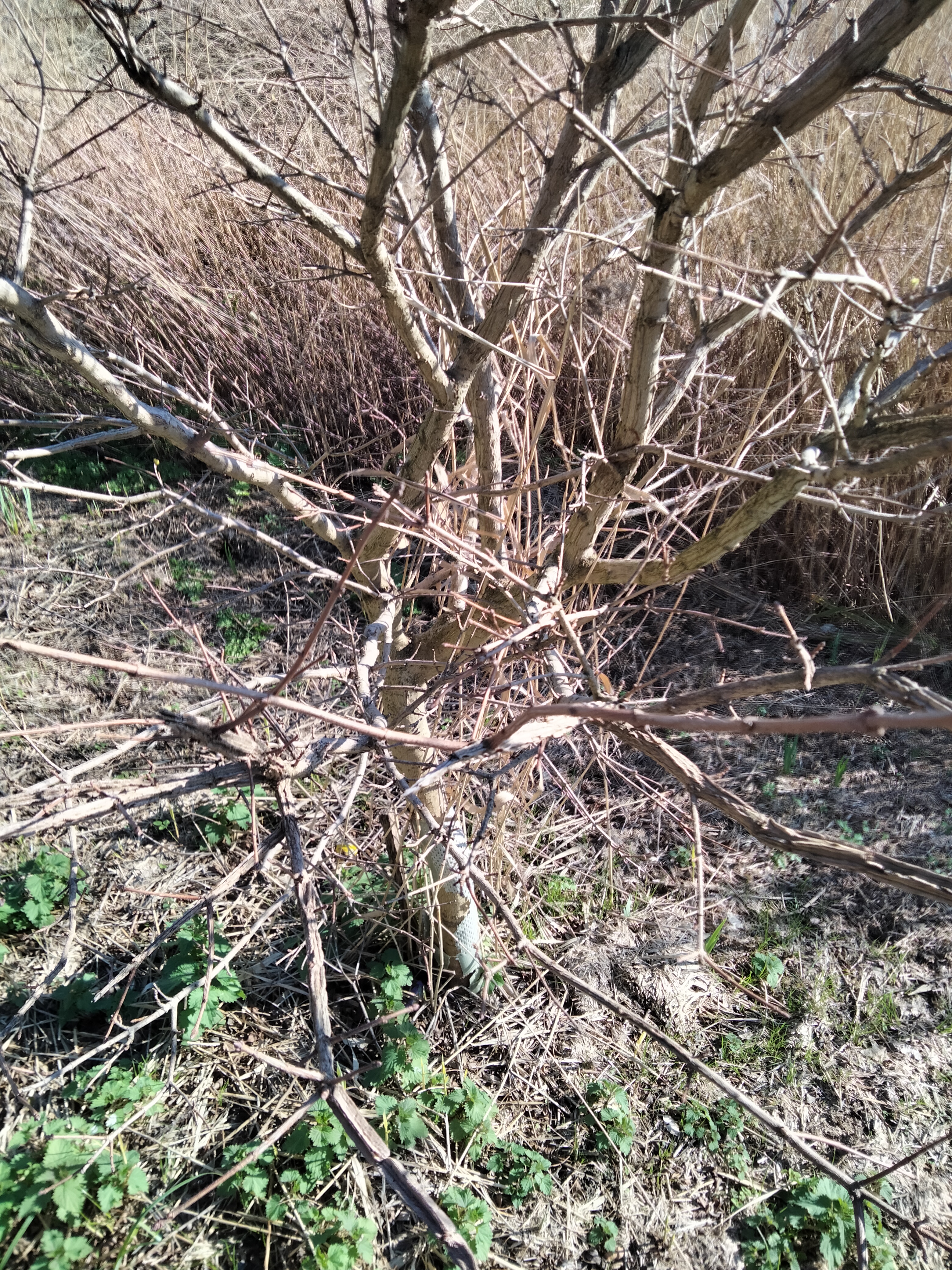 IMG20220123134737.jpg