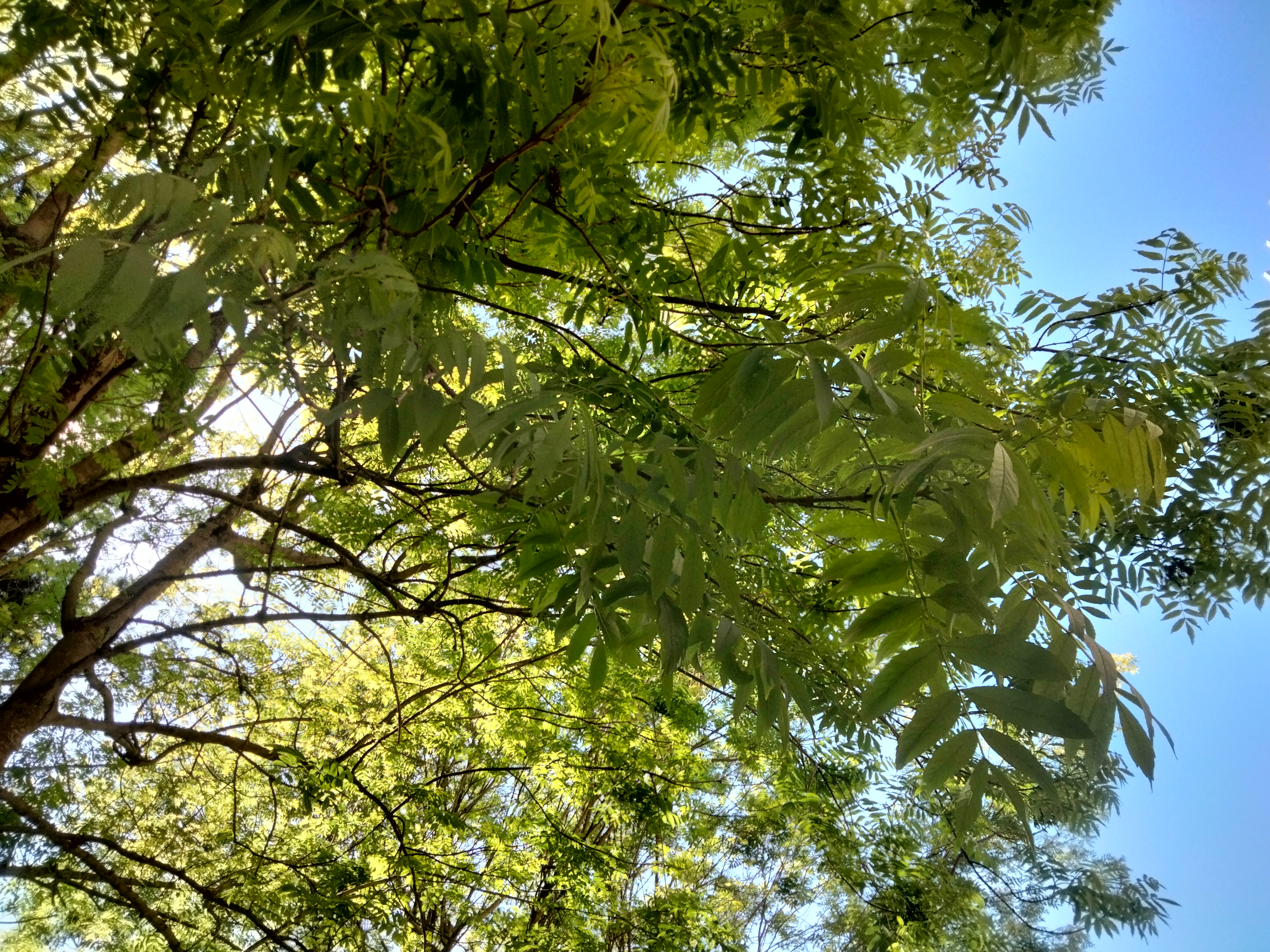 IMG20220508165606.jpg