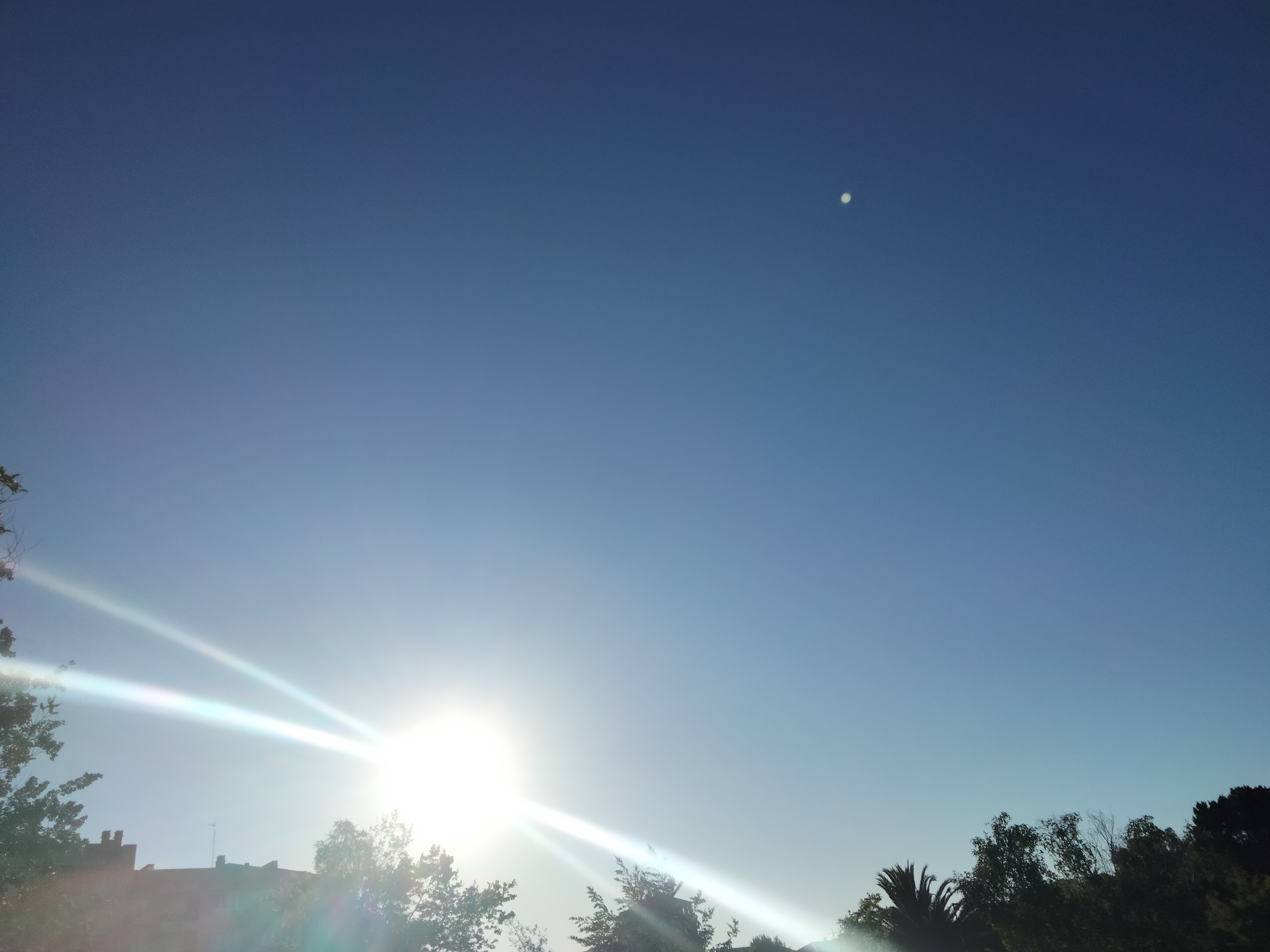 IMG20220528201714.jpg