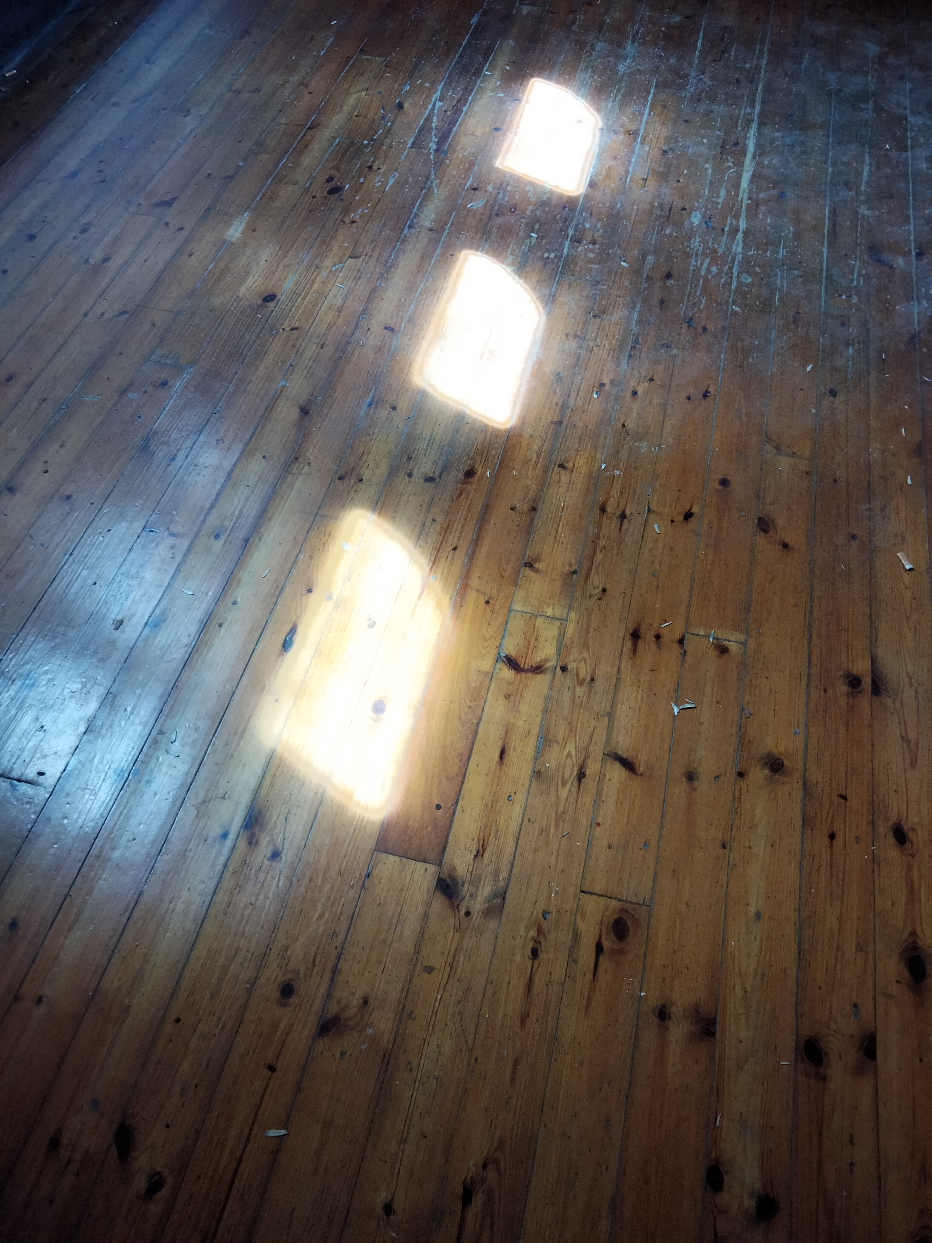 IMG20220728114310.jpg