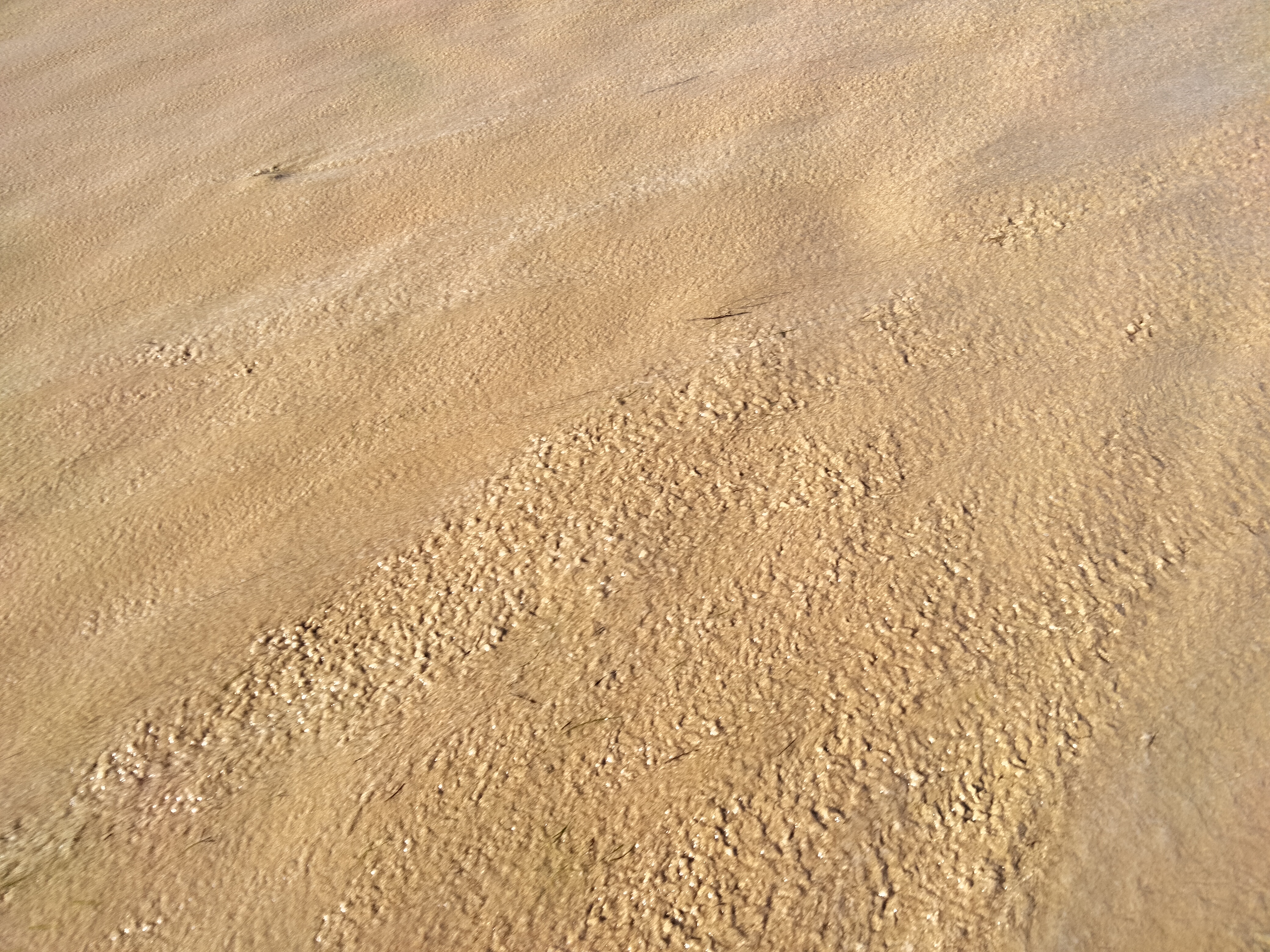 IMG20220801184546.jpg