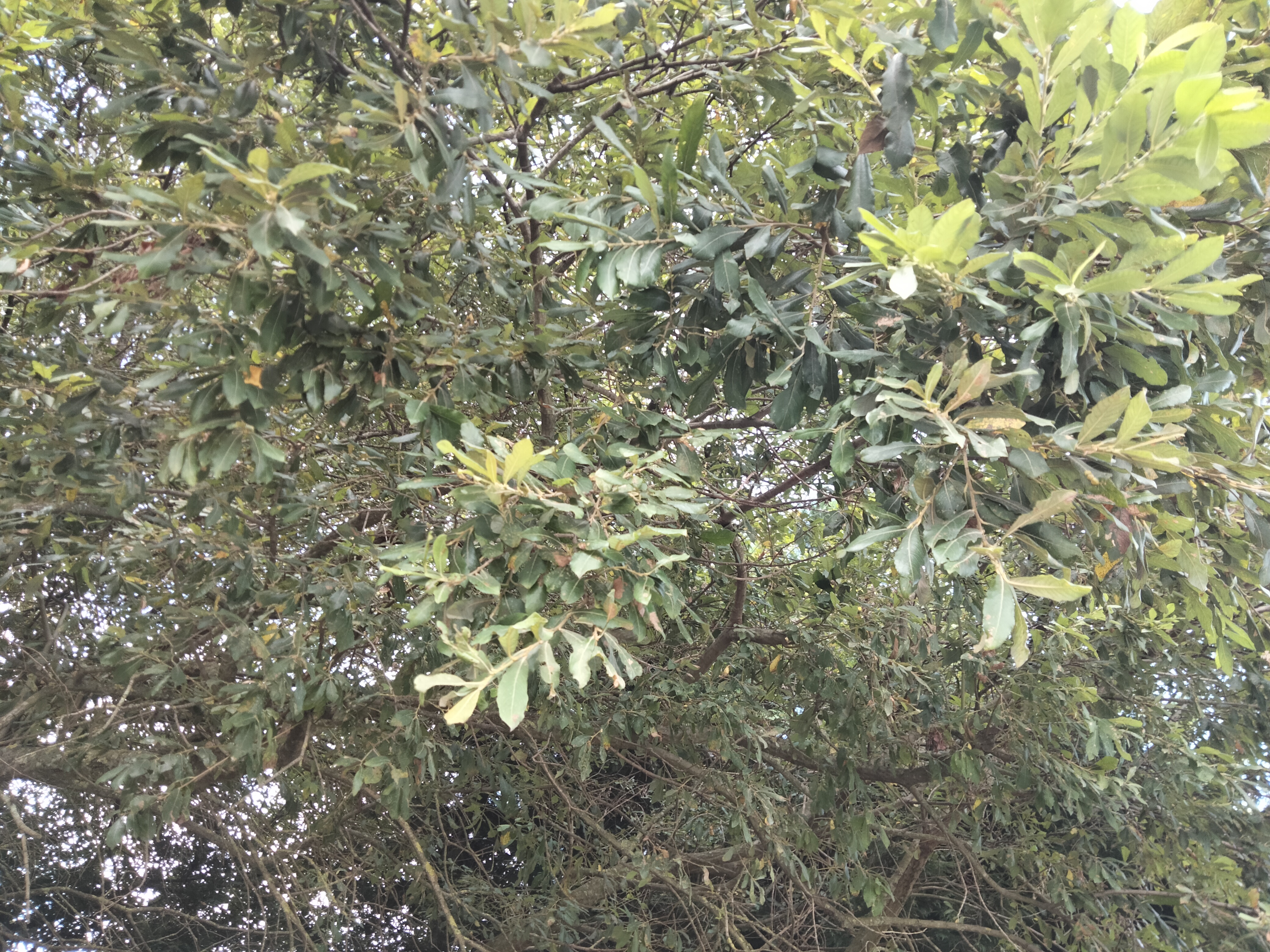 IMG20220815111118.jpg