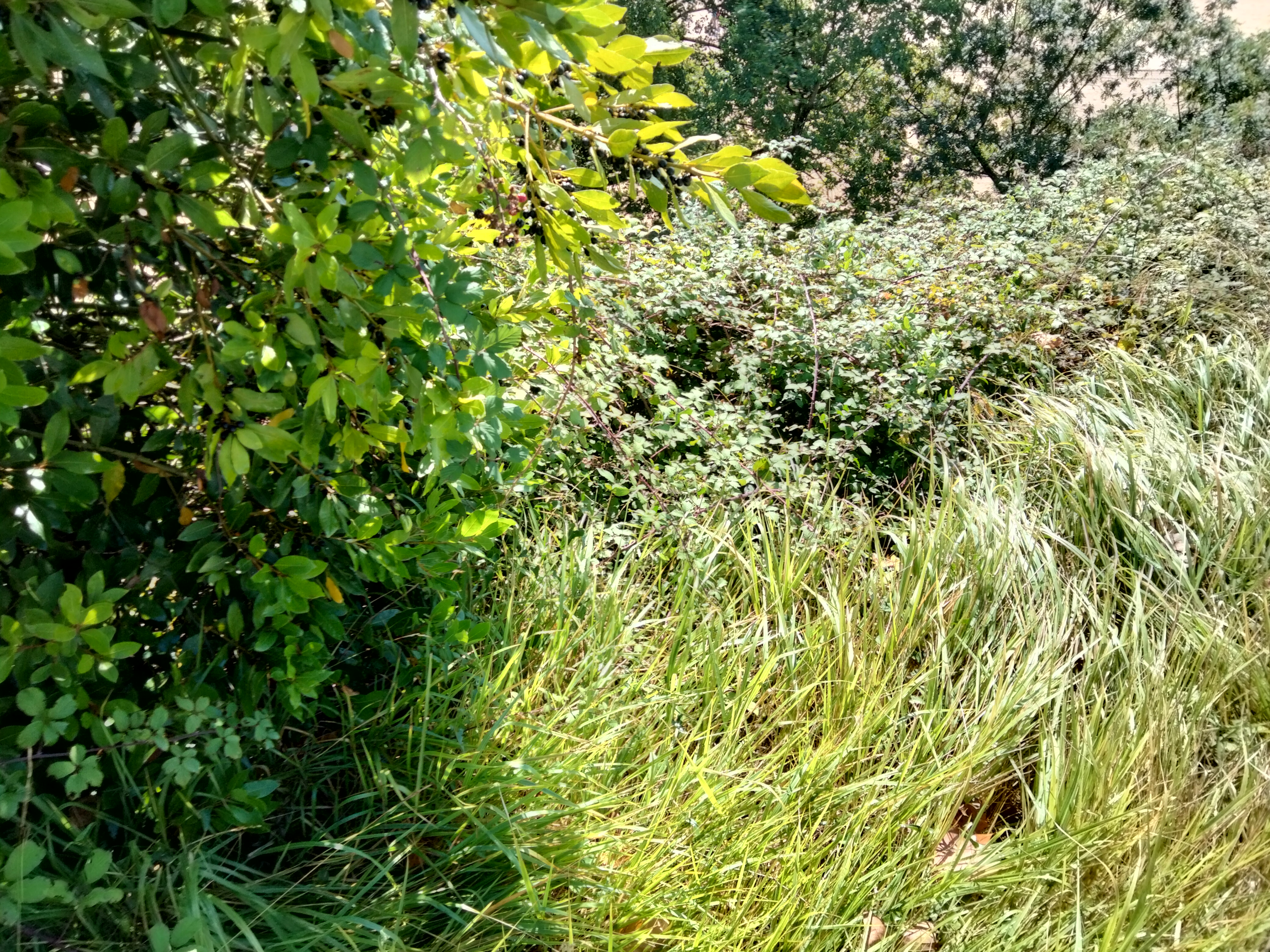 IMG20220925115715.jpg