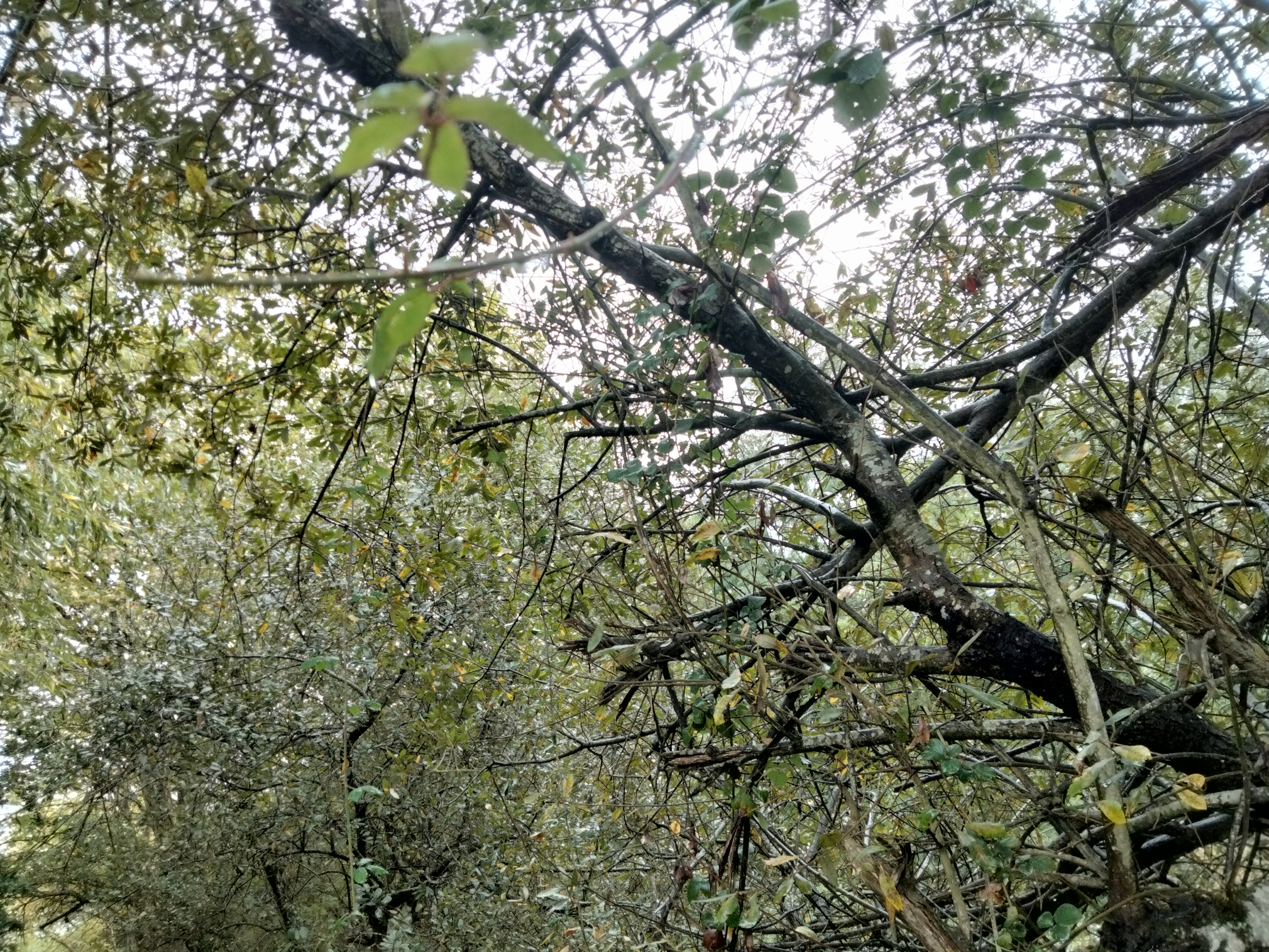 IMG20221008112659.jpg